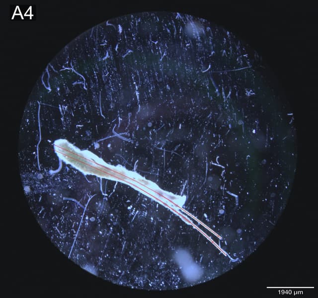A-1